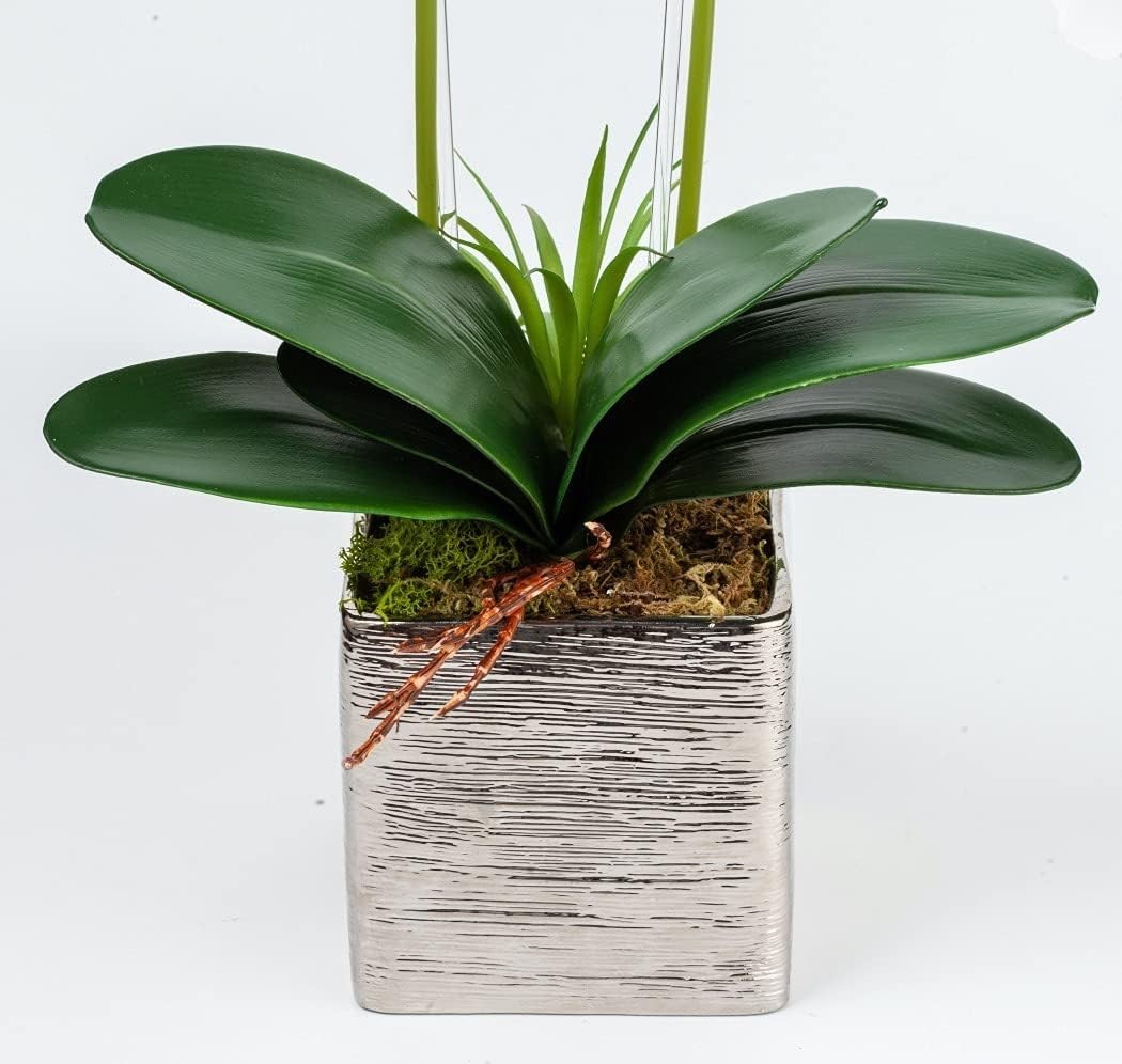 Pre Lit Artificial Orchid – Light Up Flower