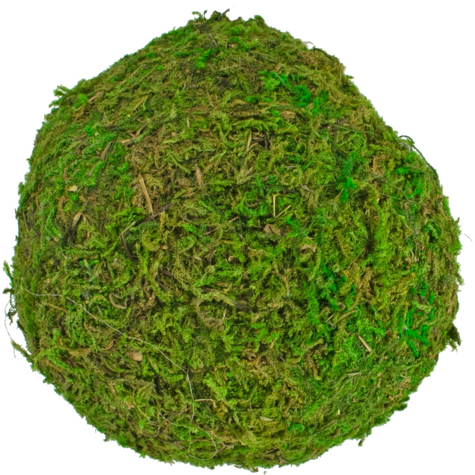 Decorative Moss Balls, Real Natural Home Decor, Accents, Centerpiece Bundle of 8
