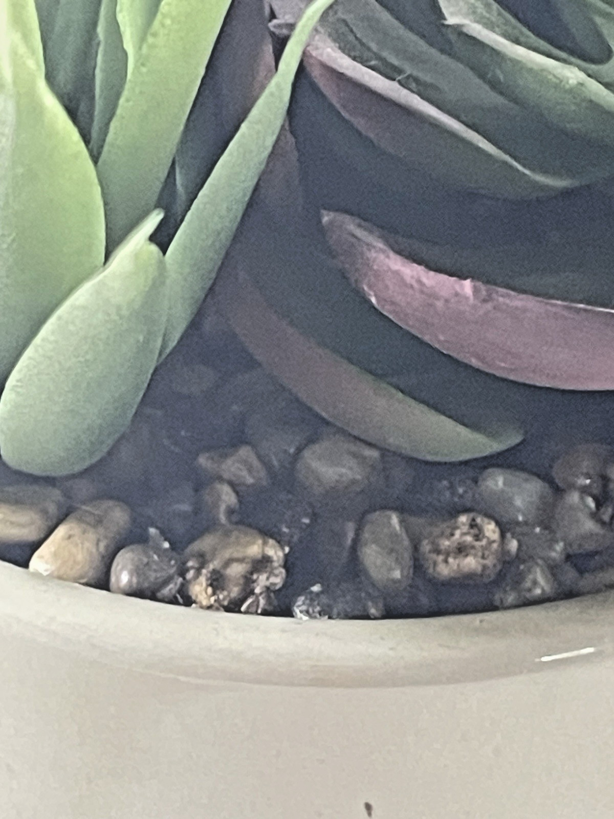 Mainstays 7.4″ Mixed Artificial Succulent Arrangement in Ceramic Planter