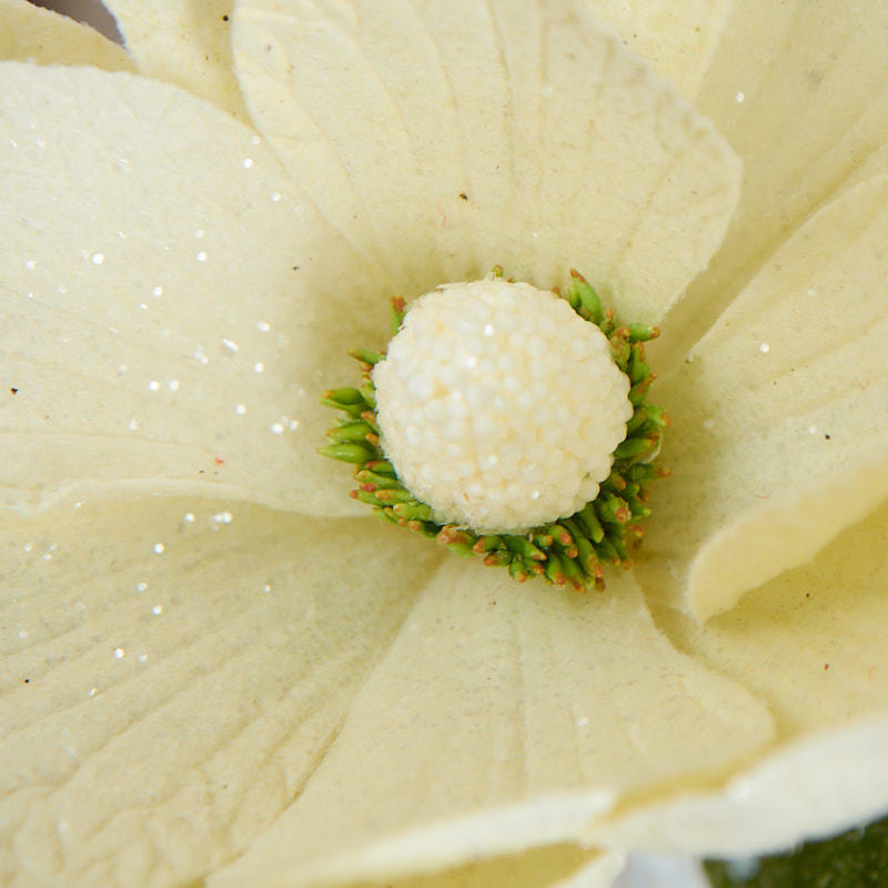 Factory Direct Craft White Glittered Artificial Magnolia Stem
