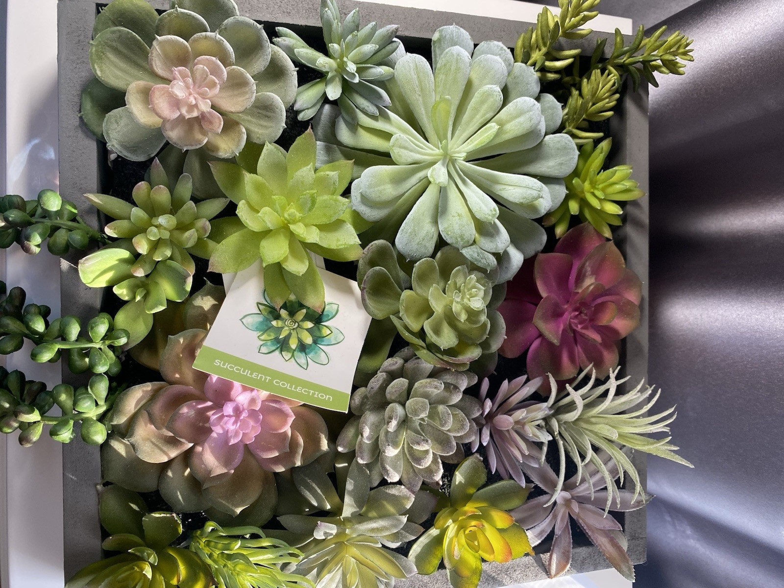 WALL OF FAUX SUCCULENTS in Gray Wood Box Decor Display 12x11x3 inches Art