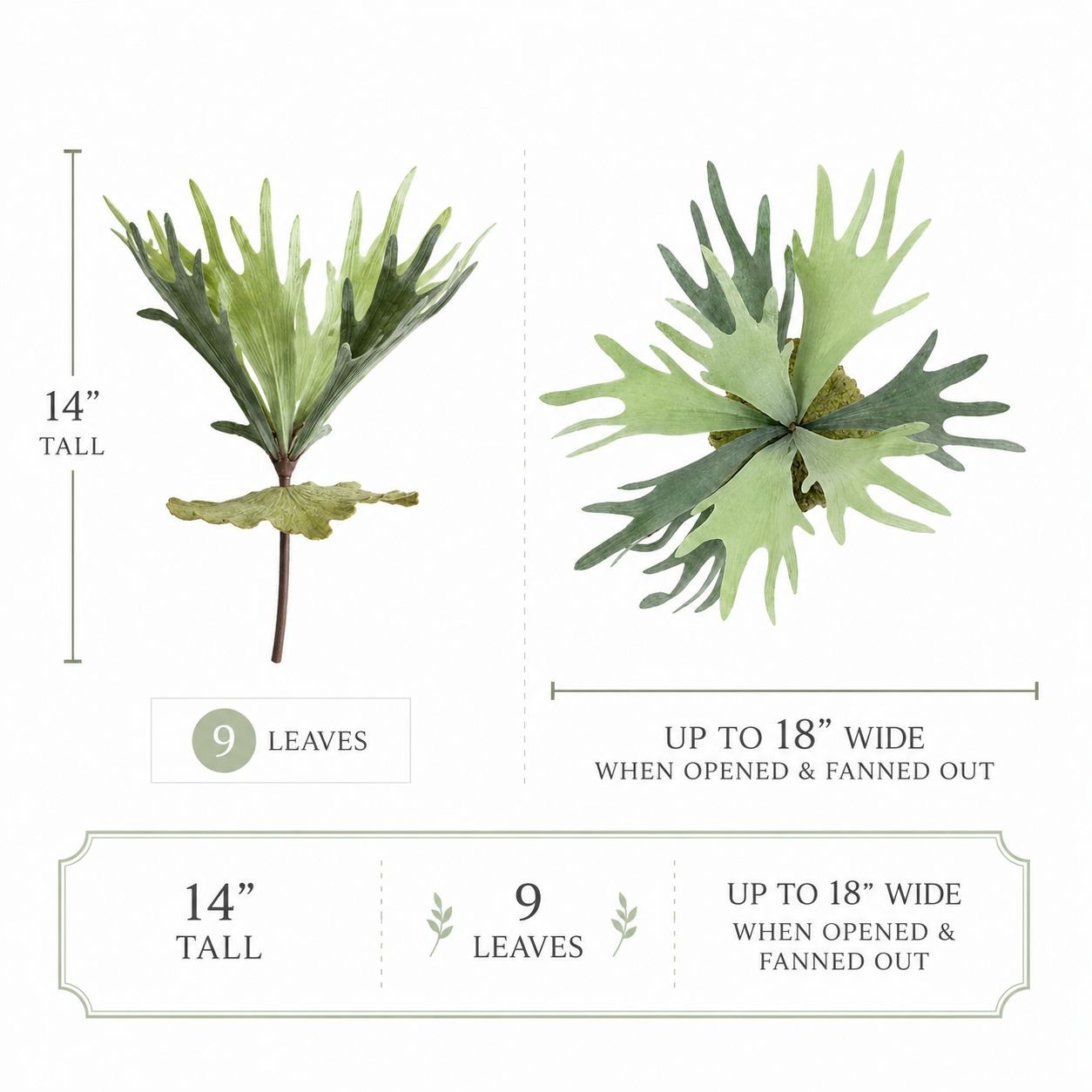 Artificial Staghorn Fern Faux Fern Wall Decor Mounted Fern Tropical Greenery Coa