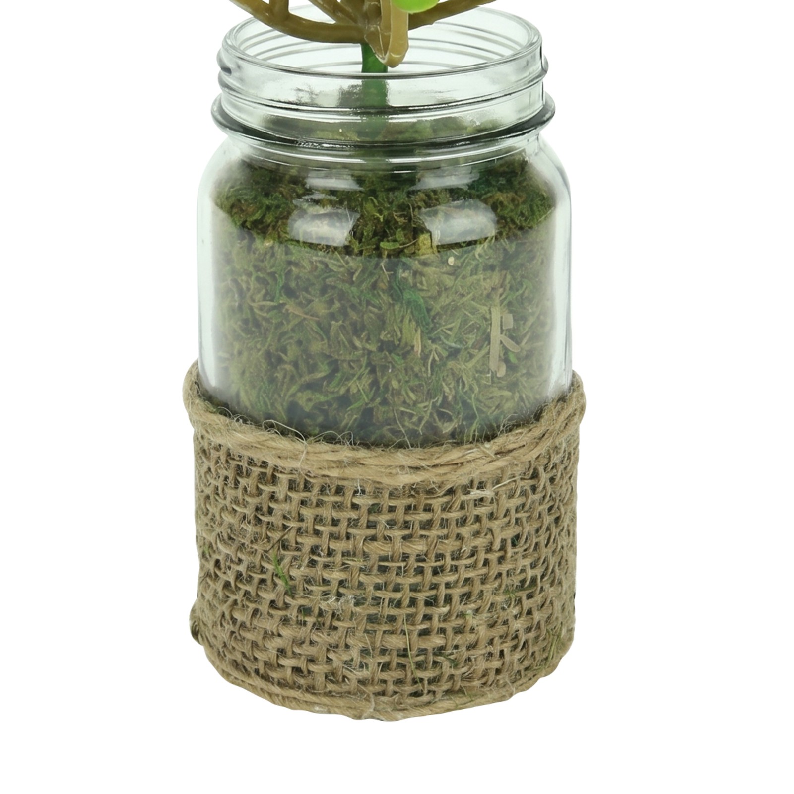 Melrose Artificial Potted Crassula Succulent Plant Glass Jar Burlap Grip 7.25″