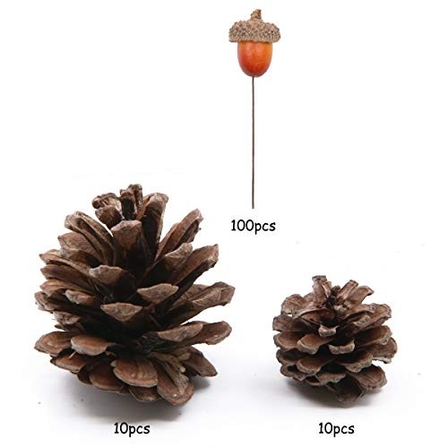 120 Pcs Apol Ornament Set – Natural Pinecones & Artificial Acorns