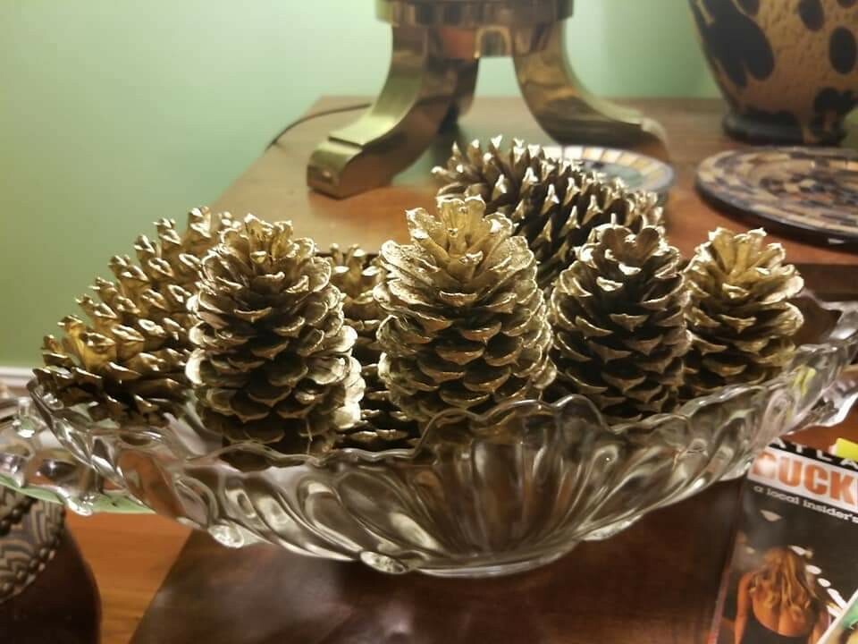 🎅15 Gold Painted Natural Pinecones