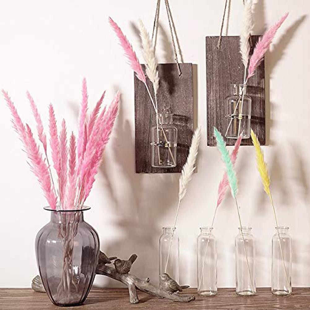 15 Natural Small Pampas Grass Photography Props For Home Decor Easy To Use