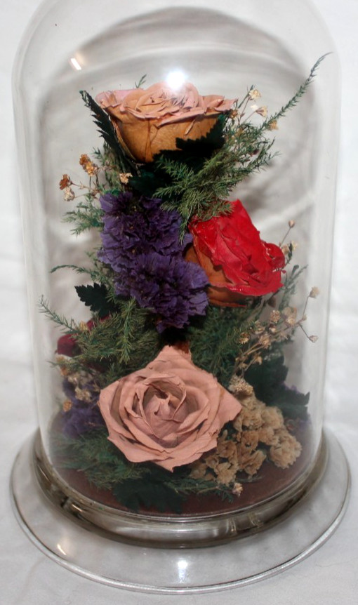 Natural Expressions – Real Freeze-Dried Rose Floral Arrangement in 8″ Glass Dome