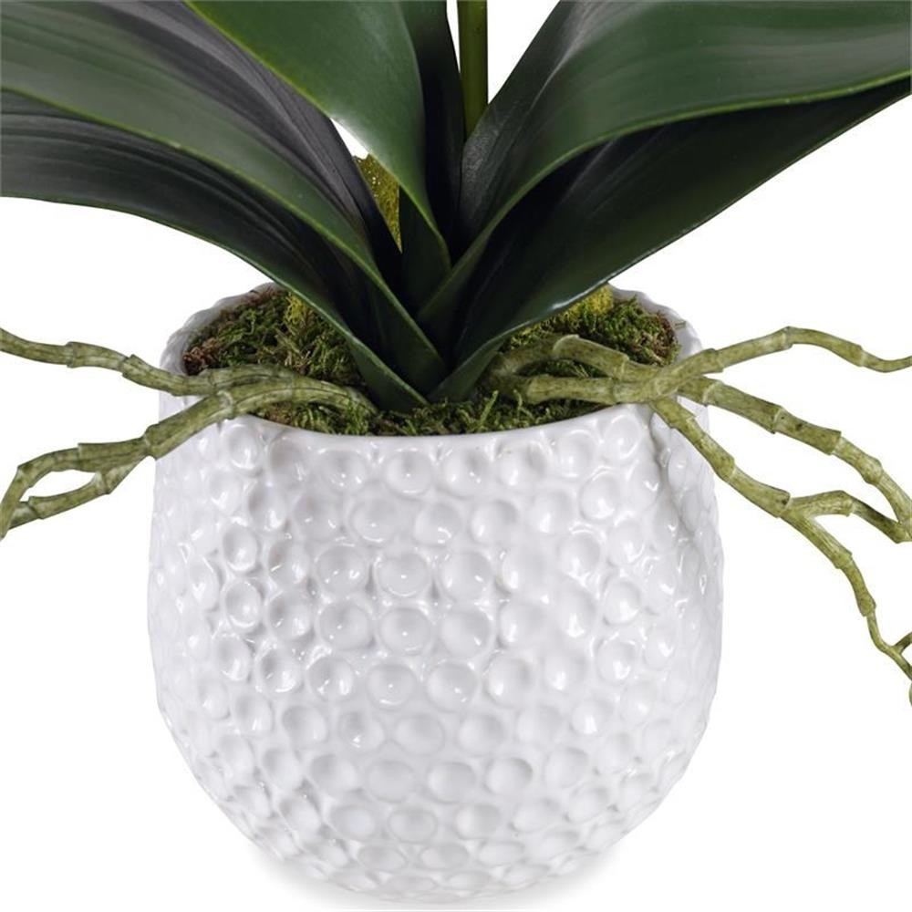 Bowery Hill Coastal Polyester Ceramic and Bamboo Orchid in White