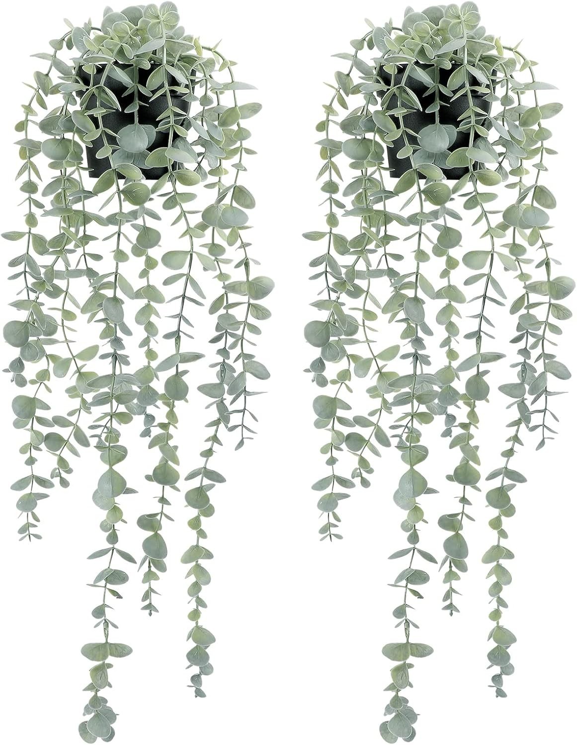 Versatile 2 Pcs Eucalyptus Hanging Plants – Durable Plastic for Any Room