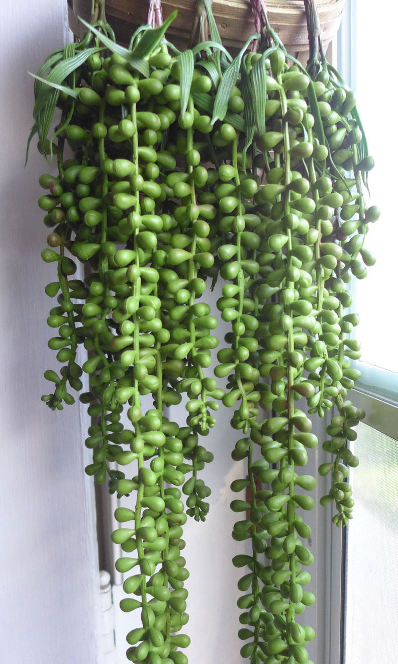 Set of 5 Pcs Pearl Bead Hangings Artificial Plant Plastic Home Wall Decoration