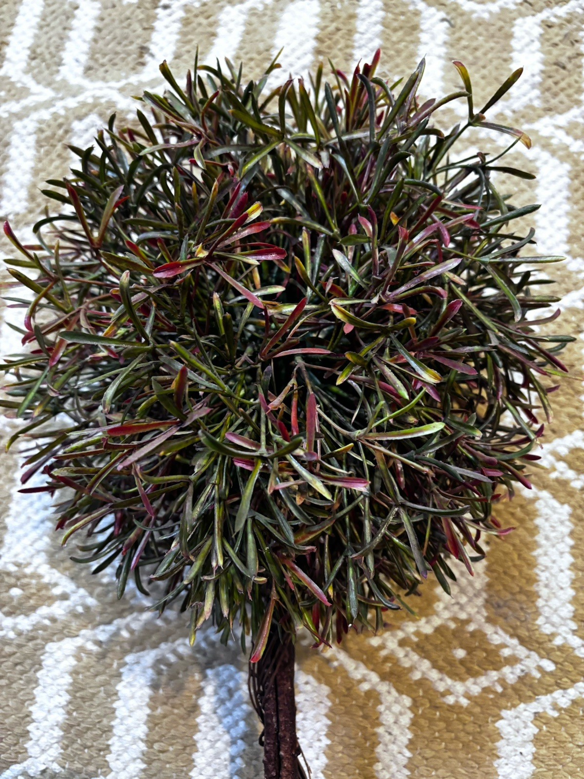 Faux Topiary Tree 23” Dark Wood Burgandy & Green Leaves in Pot Rustic Decor