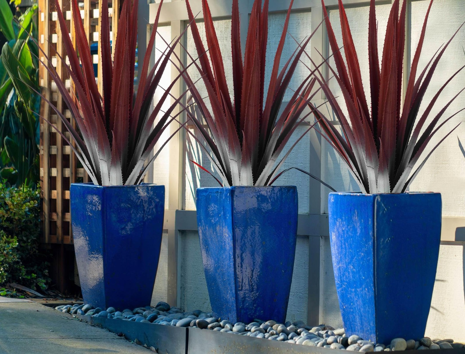 Giegxin 1 Pcs 26” Realistic Red Artificial Aloe Vera Plant Faux Agave Potted