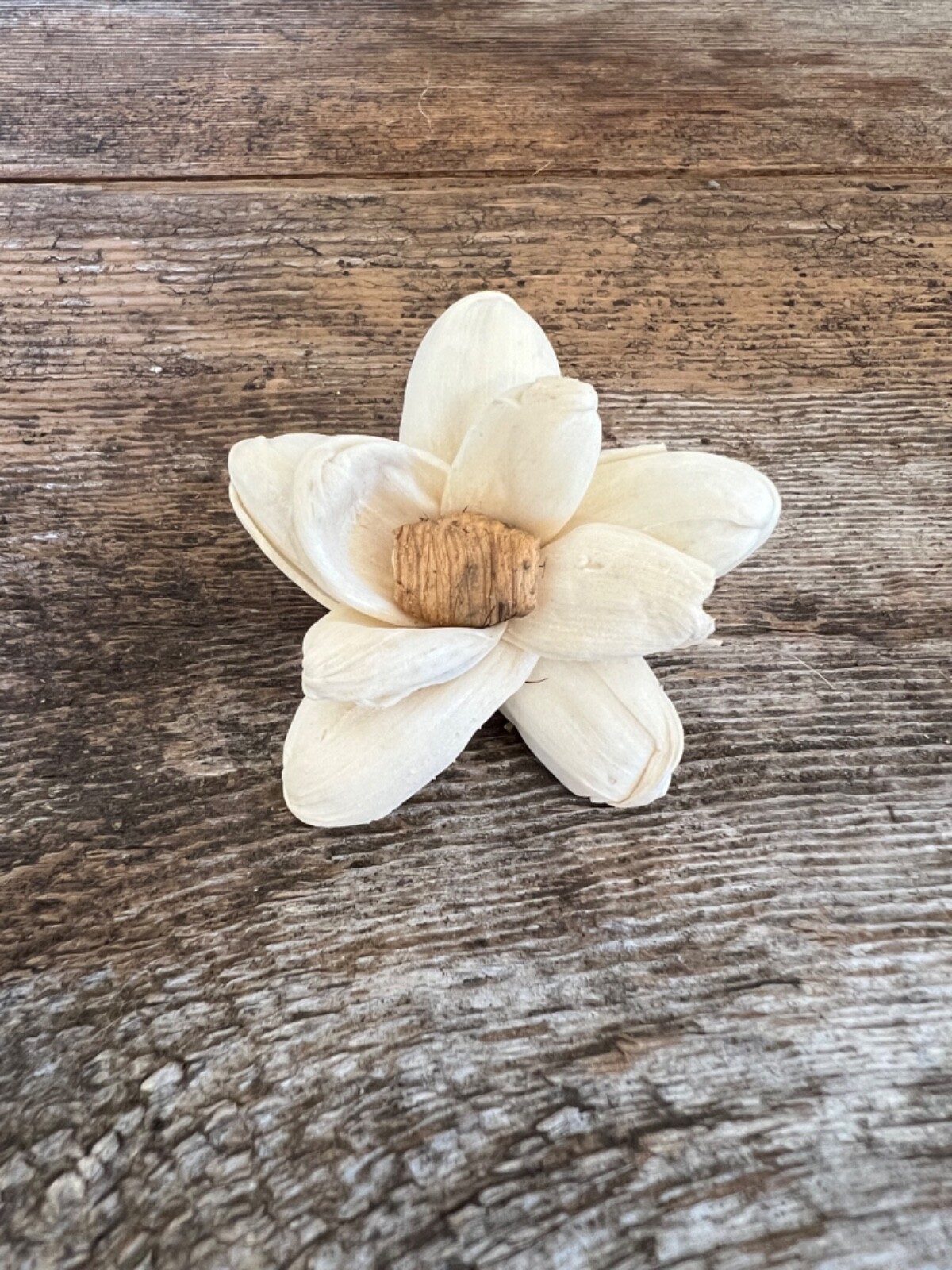 Mini Bark Daisy Sola Wood Flowers – Set of 50 – Craft Flowers