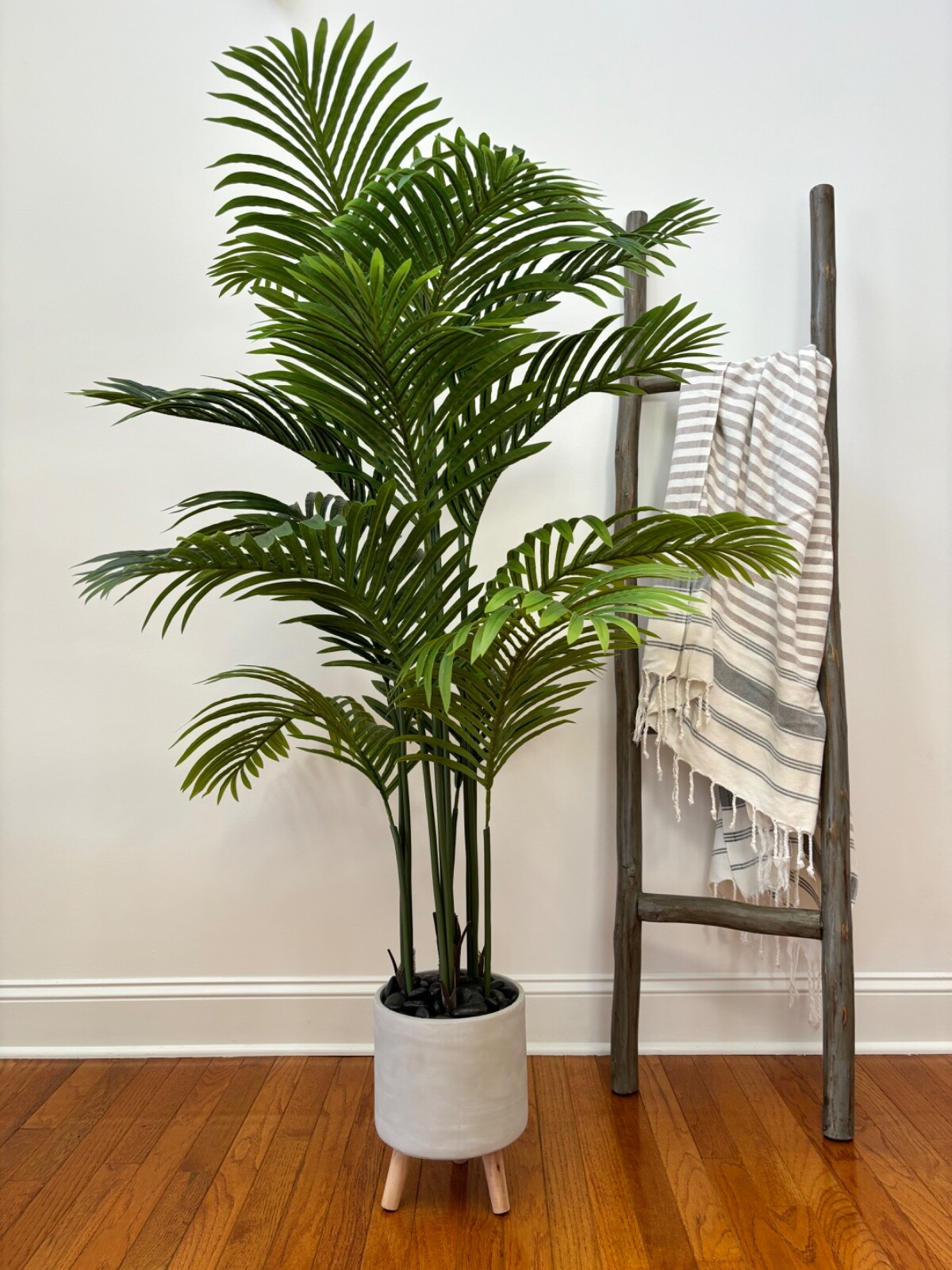 Wildwood & Cypress 52” Realistic Palm Tree Plant Variegated Foliage Indoor Faux