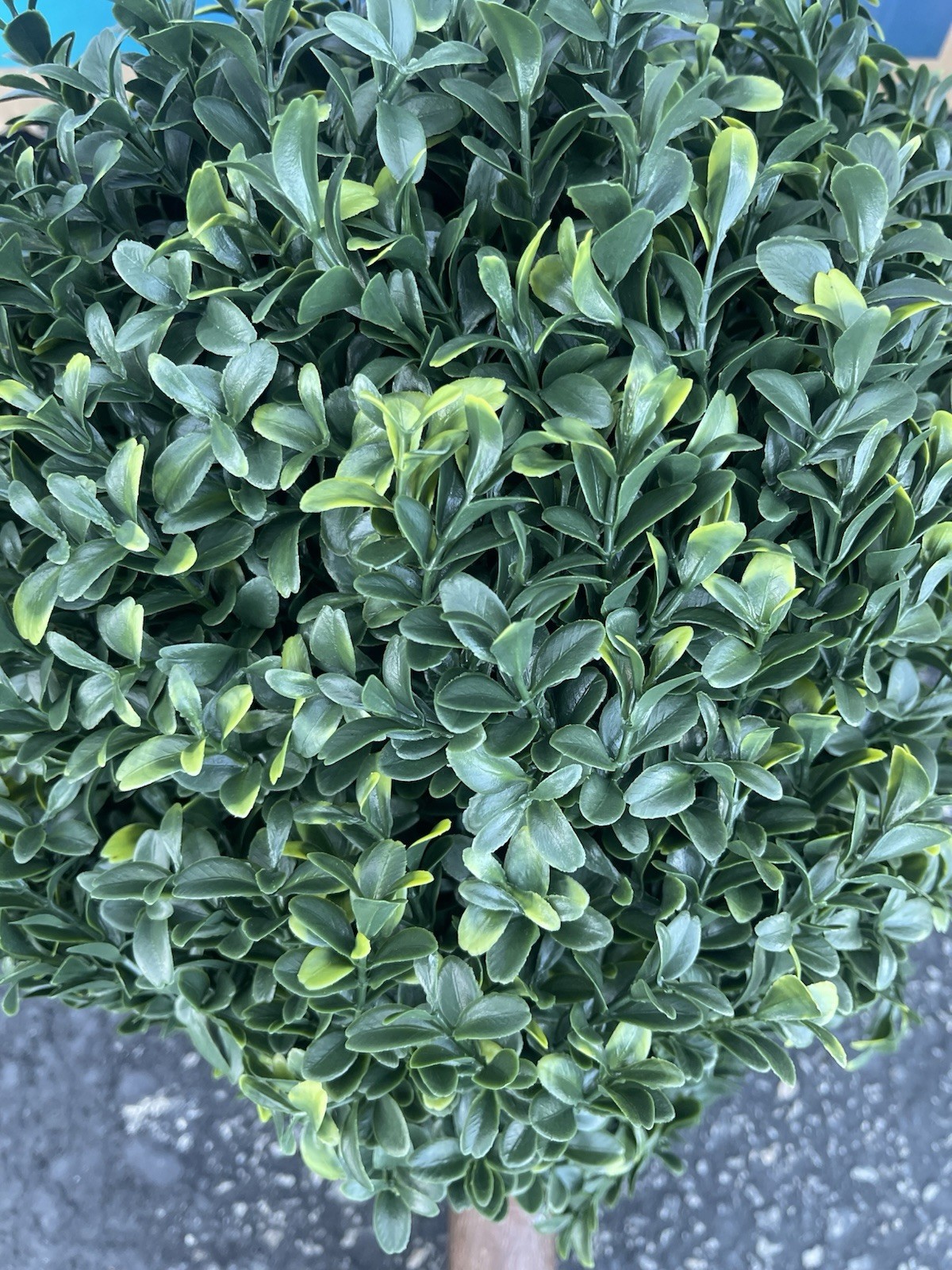 2 Packs Artificial Boxwood Topiary Ball Bush for Outdoor with Spike UV Resistant