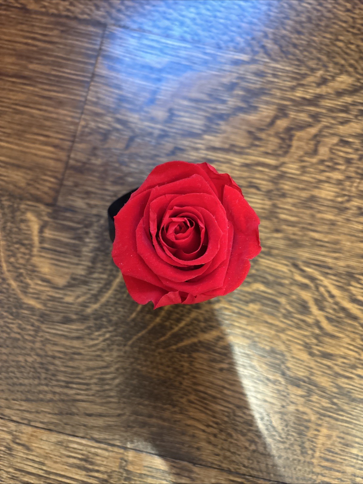 Venue Et Fleur Le Mini Round Black Box With Eternity Rose