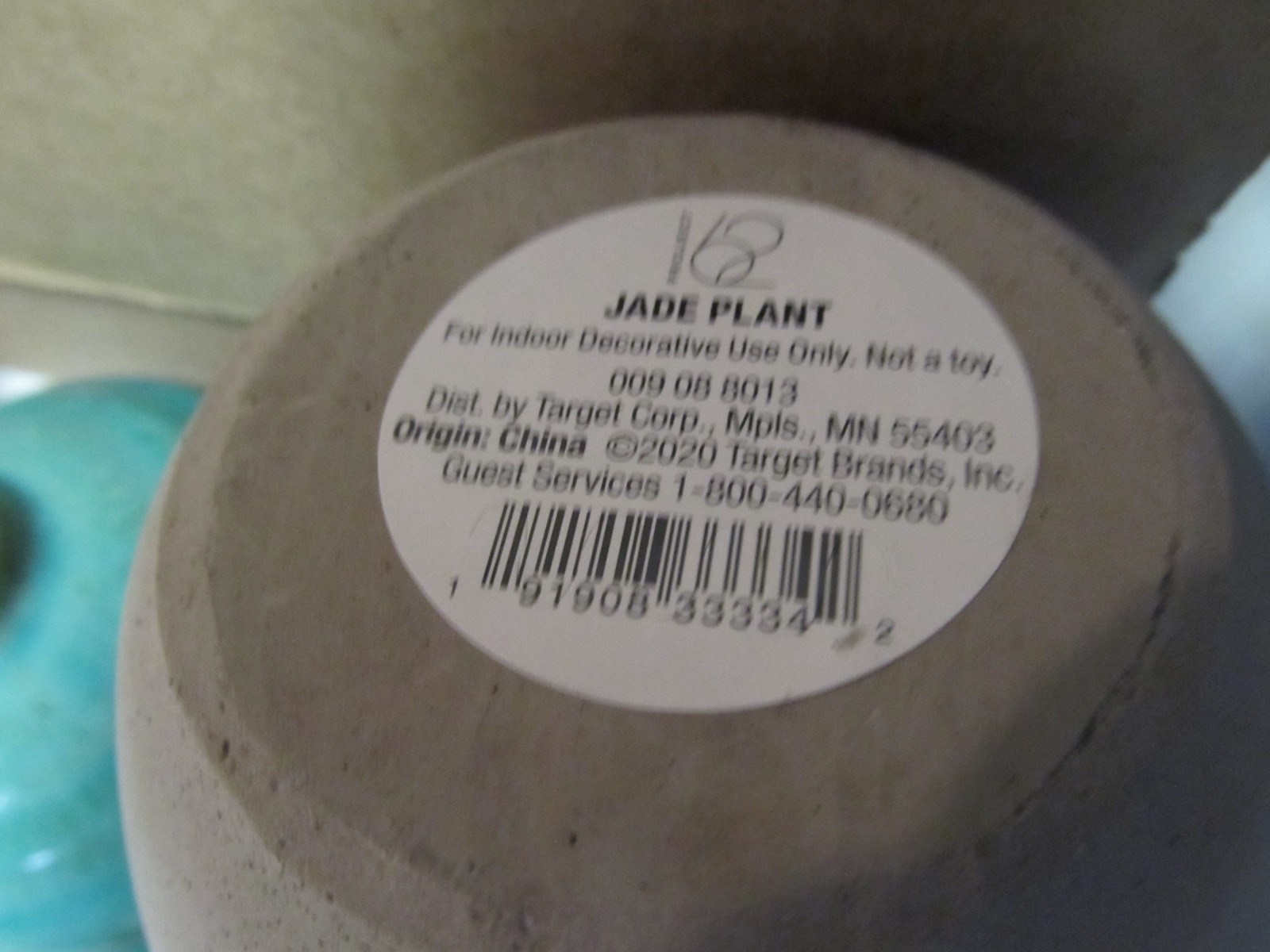Yellow Faux Jade Plant 6 inches Gray Vase Target