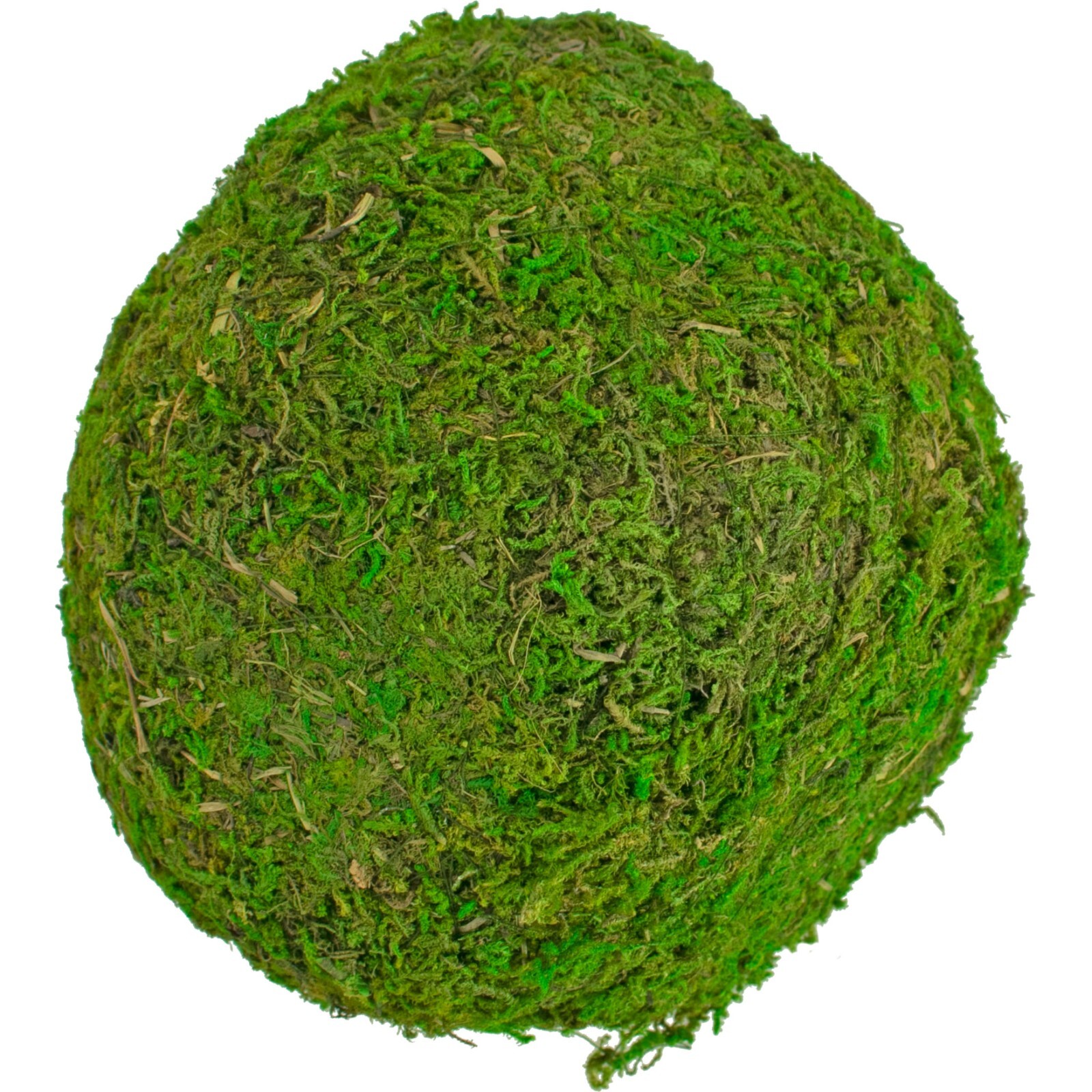 Decorative Moss Balls, Real Natural Home Decor, Accents, Centerpiece Bundle of 8