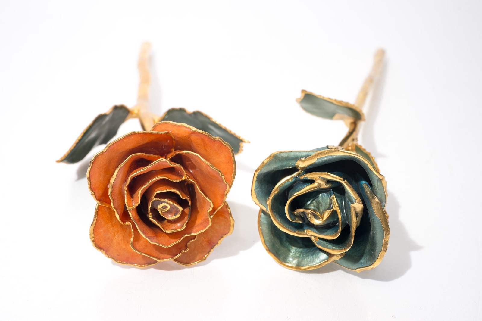 Gold Tipped Real Roses, Gift For Her