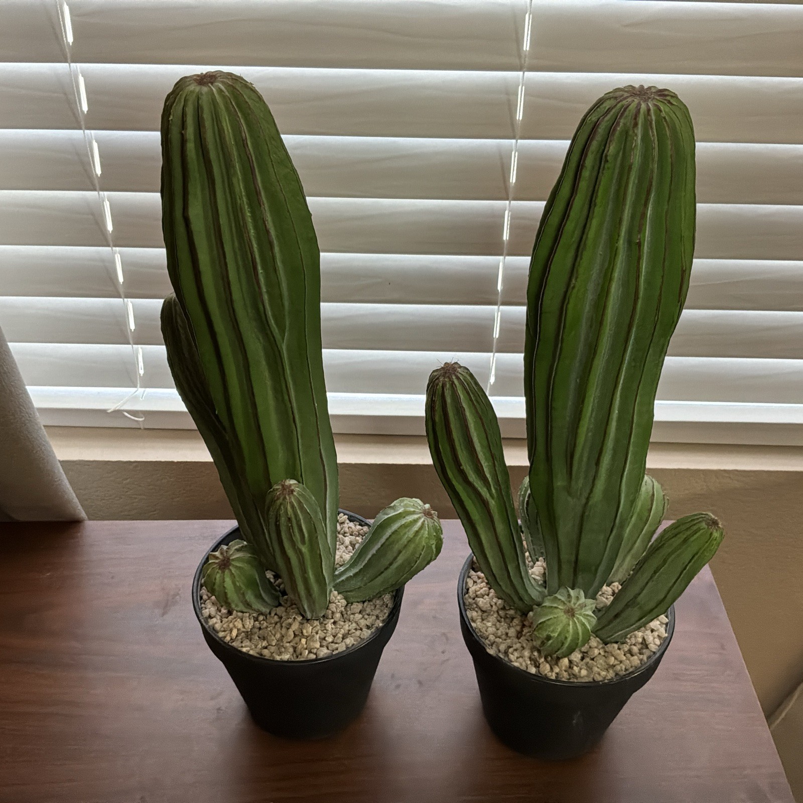 Artificial Cactus Fake Cacti 16″ Faux Potted Cactus Plants for Decor