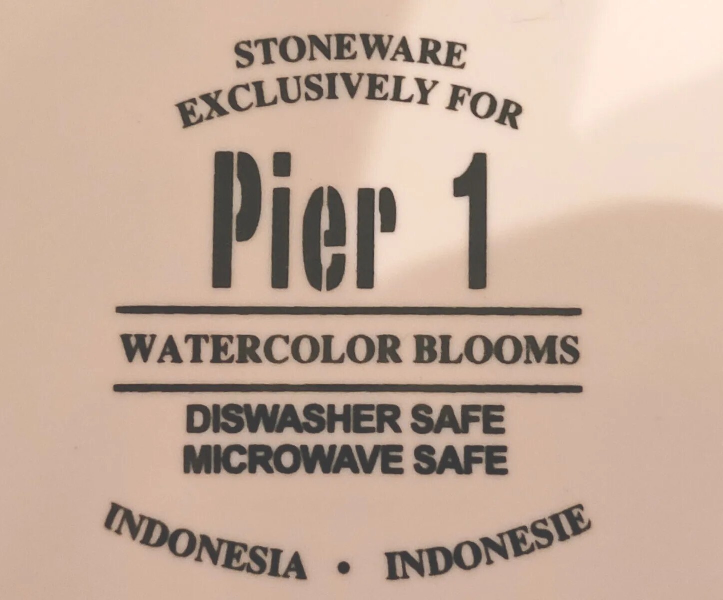 Watercolor Blooms Stoneware Salad/Dessert/Snack Plates by Pier One – Iris Floral