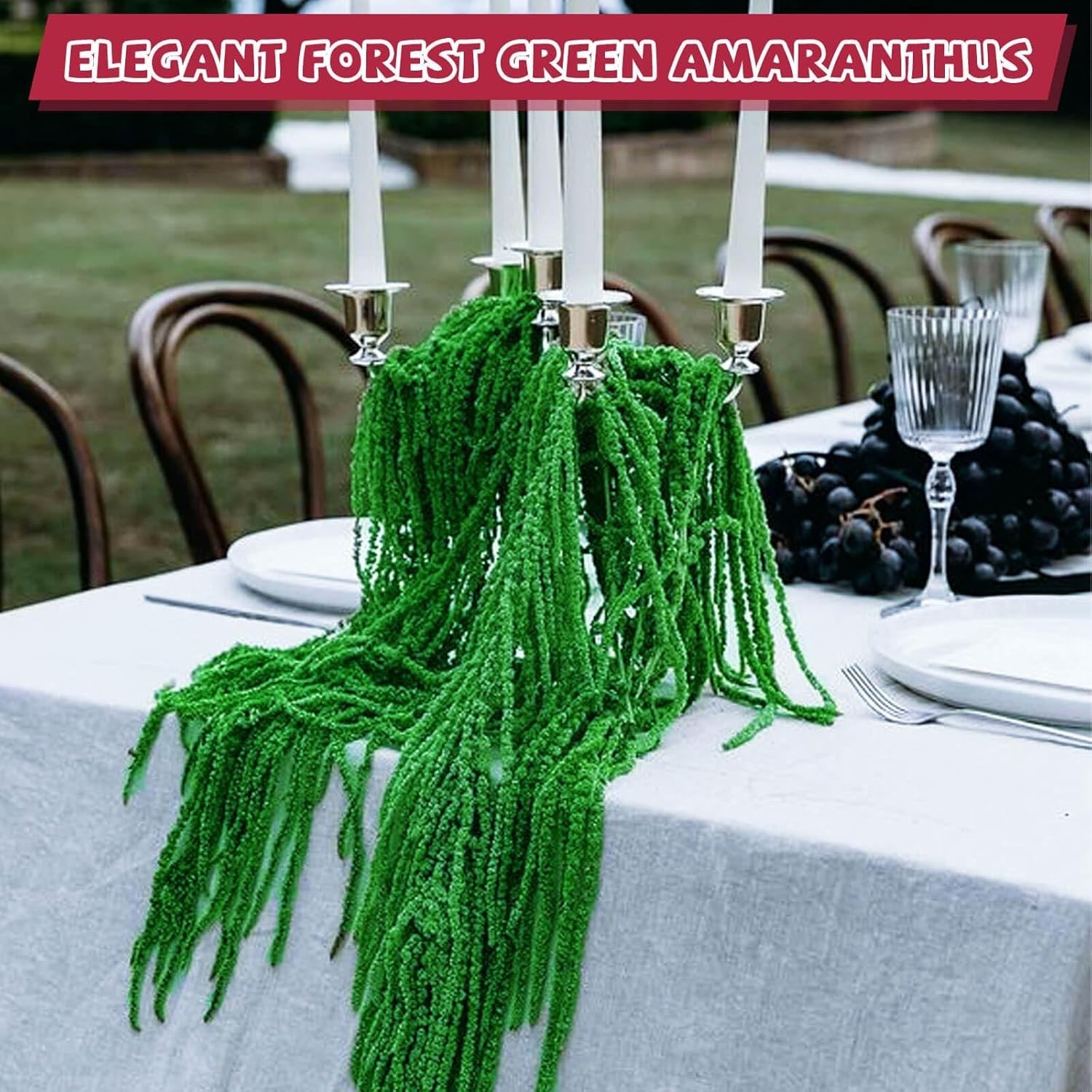 5pc Dried Amaranthus Hanging Stems Dark Green 23in Real Preserved Wedding Xmas