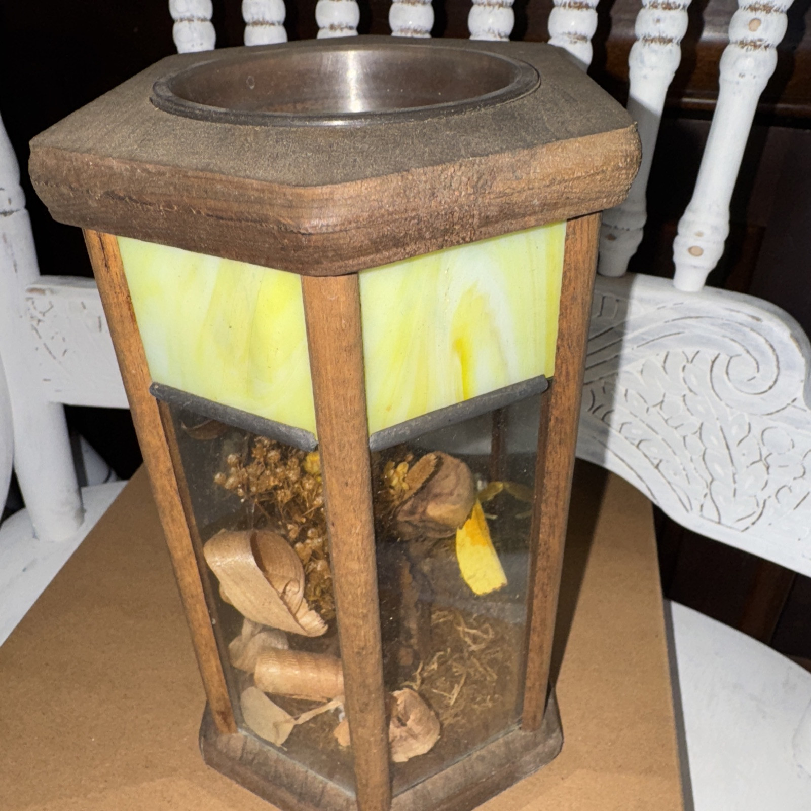 Butterfly Taxidermy Stichophthalma howqua Male Jungle Queen Glass Case Vintage