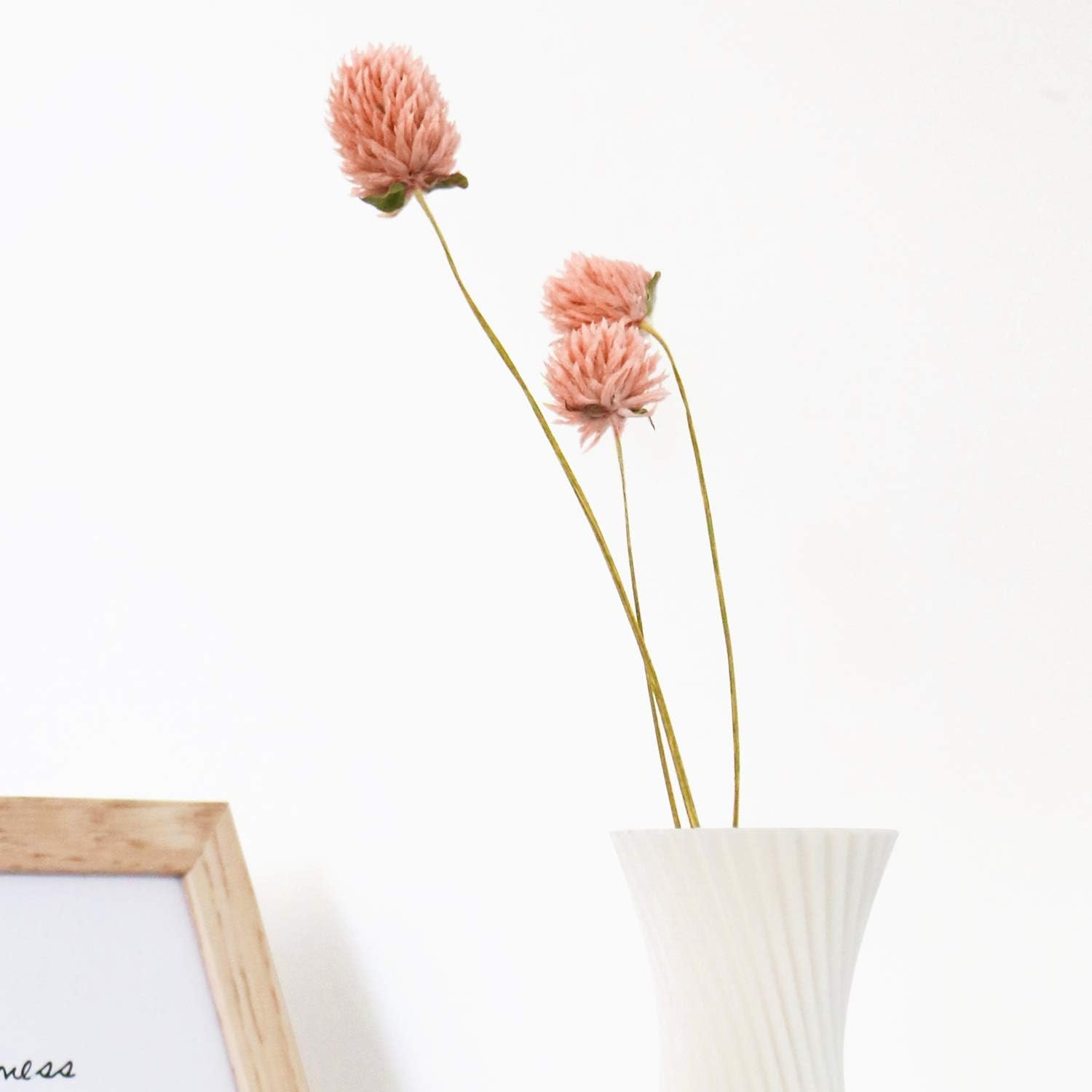 White Globe Amaranth Dried Flower Bundles Natural Home Party Decor Pink