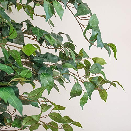 Triple Trunk Artificial Ficus Tree with Natural Wood Trunks, 7ft Tree in Pot