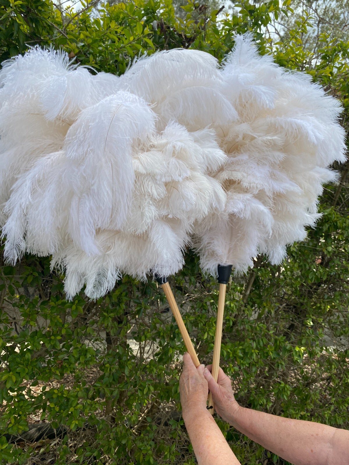 First grade ostrich feather display 180grm white ostrich feathe