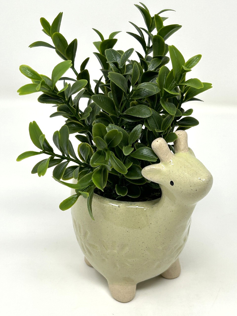 Mini 6″ Artificial Sage Boxwood plastic plant potted in Ceramic DEER Giraffe Pot