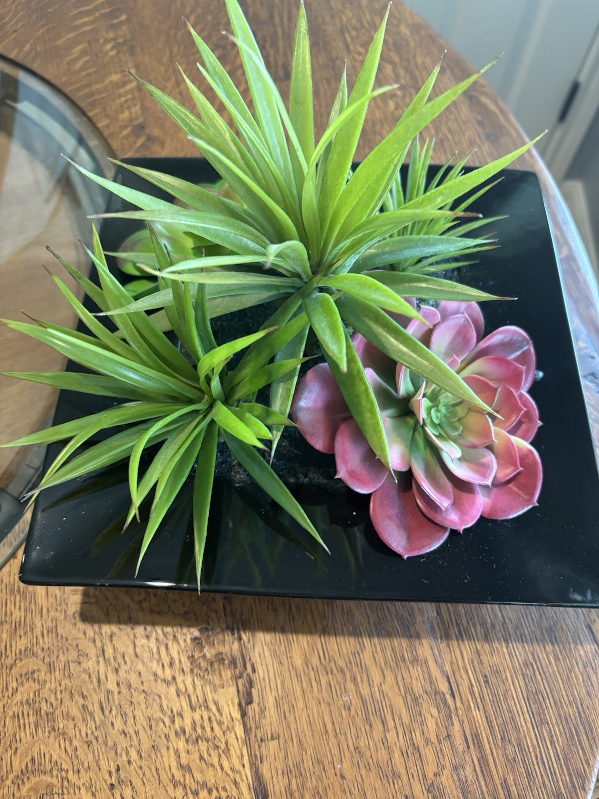 Pier 1 Imports Faux Succulent & Black Glass Organic Arrangement Retired