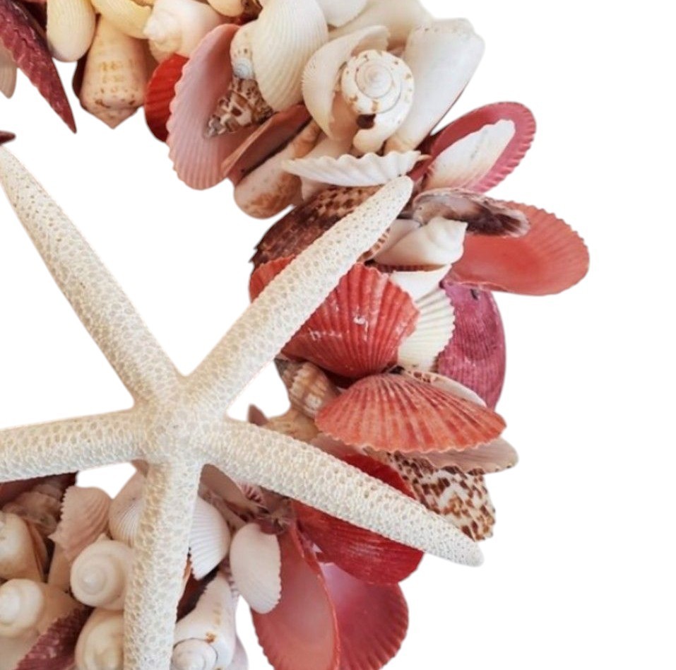 Seashell Door Wreath Beach Cottage Nautical Ocean Coastal Heavy 12″ w Starfish