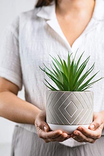 8″ x 4.5″ Beautiful Fake Plant | Artificial Potted Plant Decor | Faux