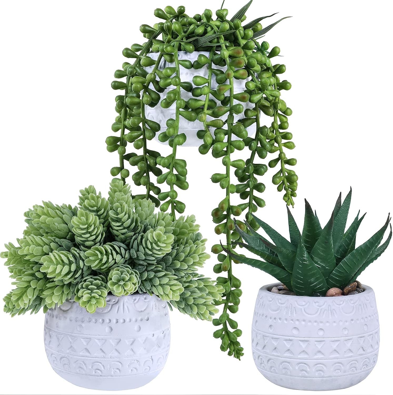 Elegant Succulent Trio in Geometric Ceramic Pots – Perfect for All Occasions