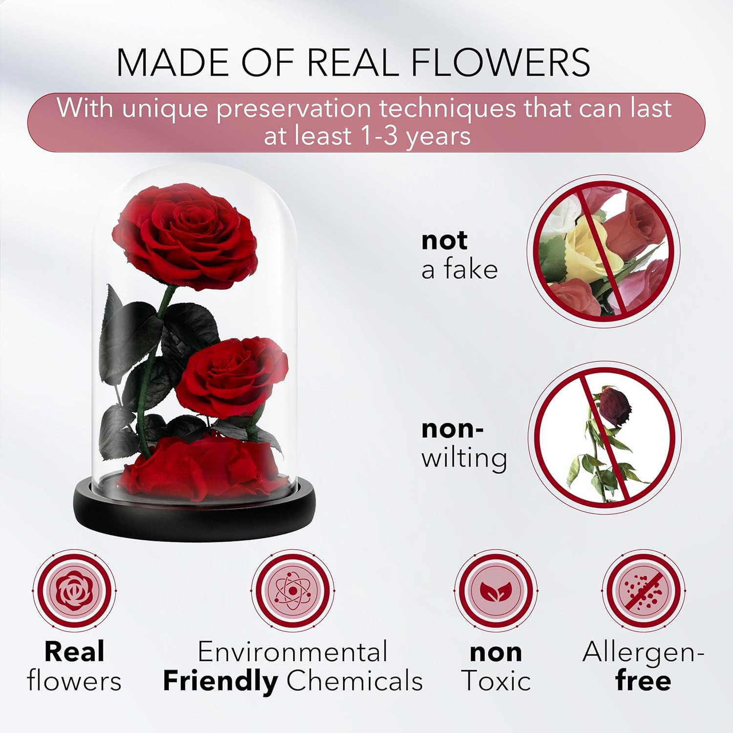 Eternal Flower in a Glass Dome: Preserved Rose – the Perfect Forever Infinity Ro