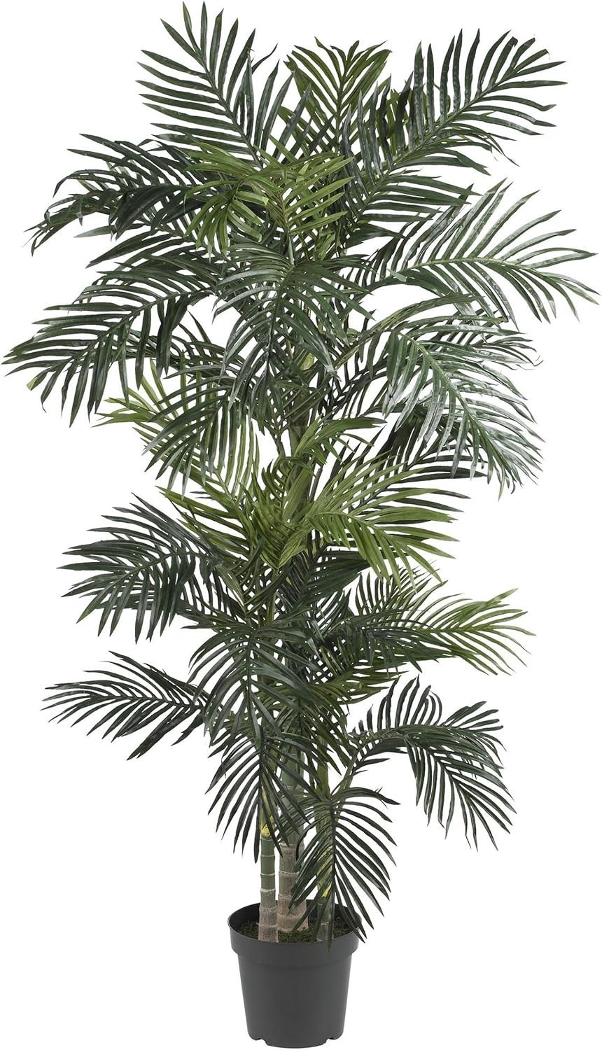 6.5 ft Lifelike Golden Cane Palm Tree in Black Nursery Pot for Indoor Elegance