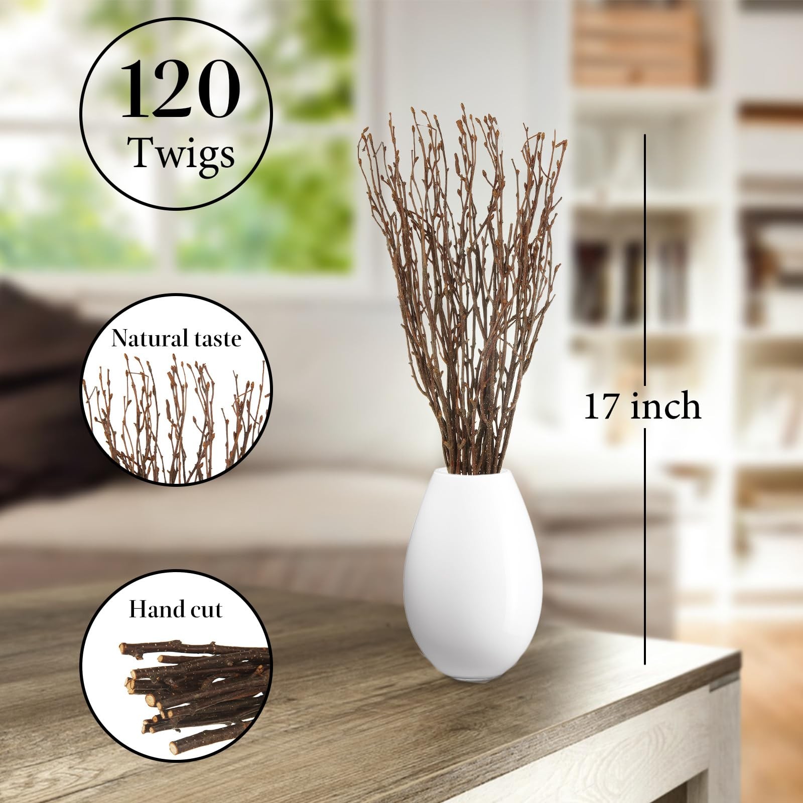 120 PCS Natural Dried Birch Twigs Branches 16 Inch Decorative Vase Stick