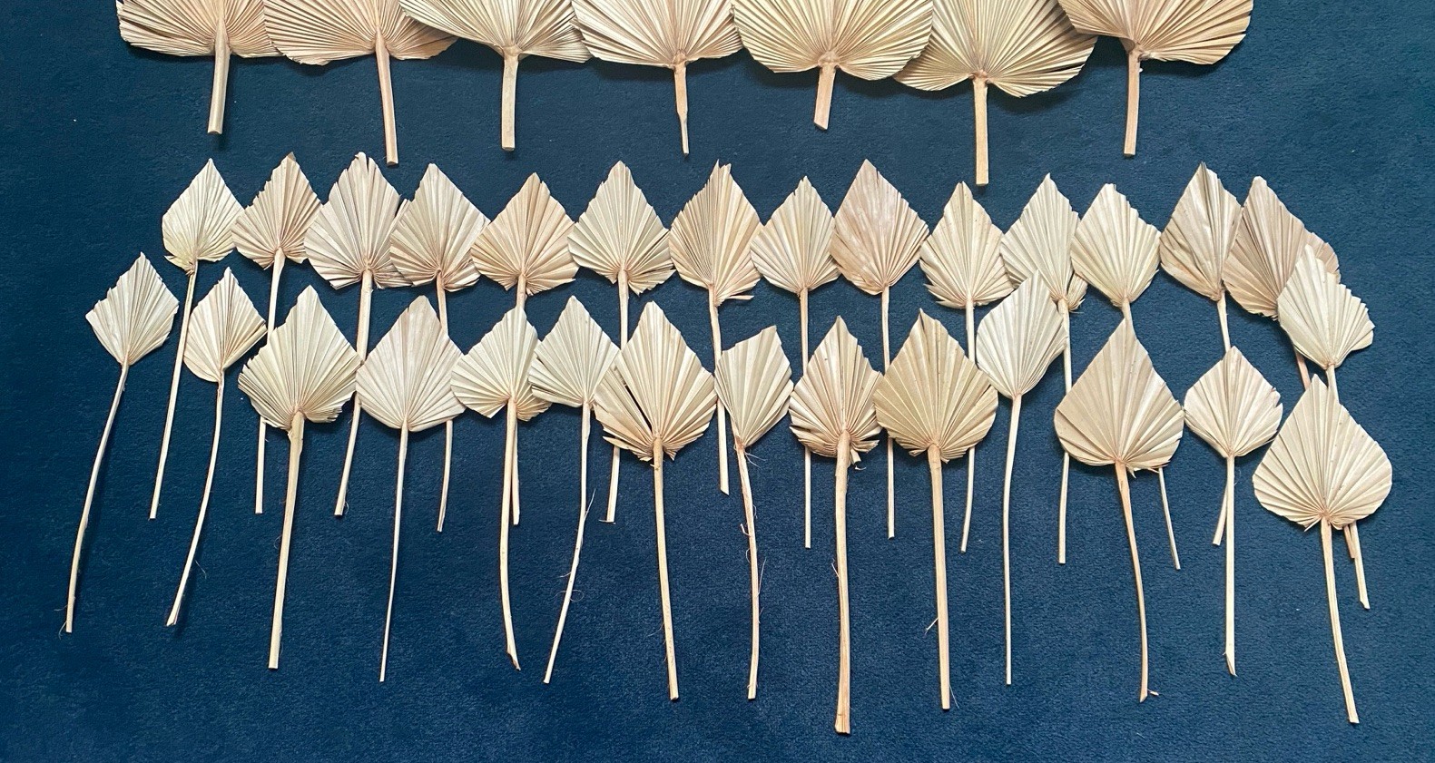 Lot Of 72 Dry Palm Leaves Natural Home Wedding Decor Boho, 42 Large, 30 Small