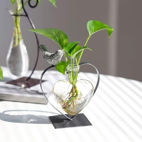 Desktop Glass Vase, Bulb Glass Vases for Holder, Heart Bird Planter Glass Vase
