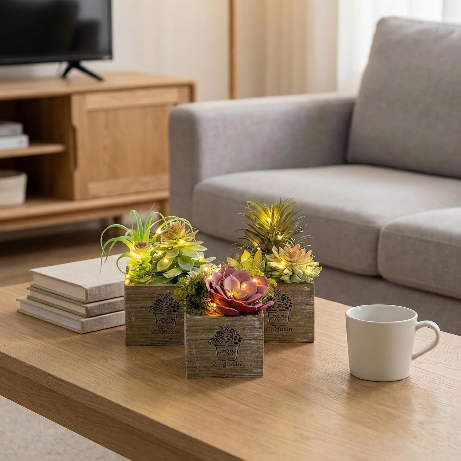 Mini Succulent Plants with LED Lights – 3 Pack for Home & Office Decor