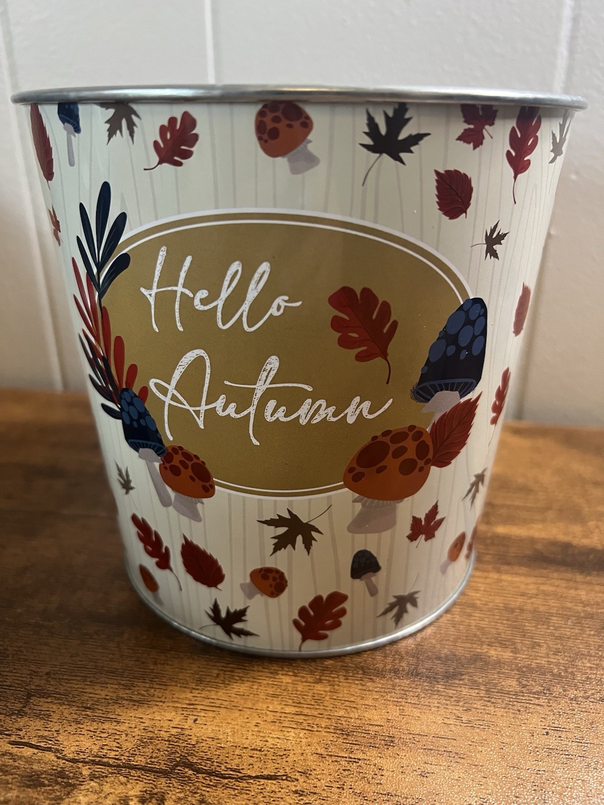2 Round Tin, HELLO AUTUMN, Fall Flowerpot Can, Home Decor W/ 2 Ceramic Pumpkins