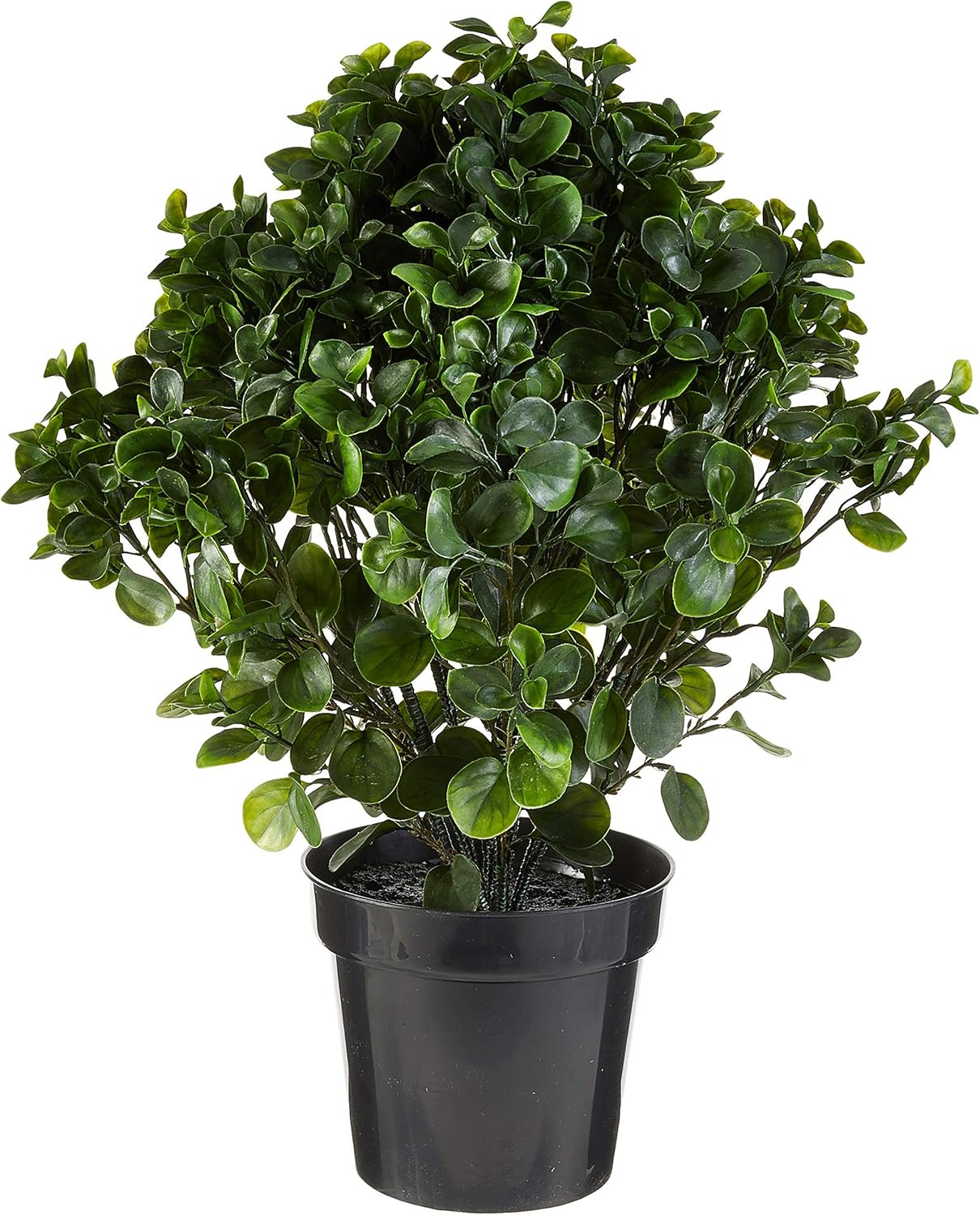 28″ UV Resistant Peperomia Plant for Indoor/Outdoor Decor