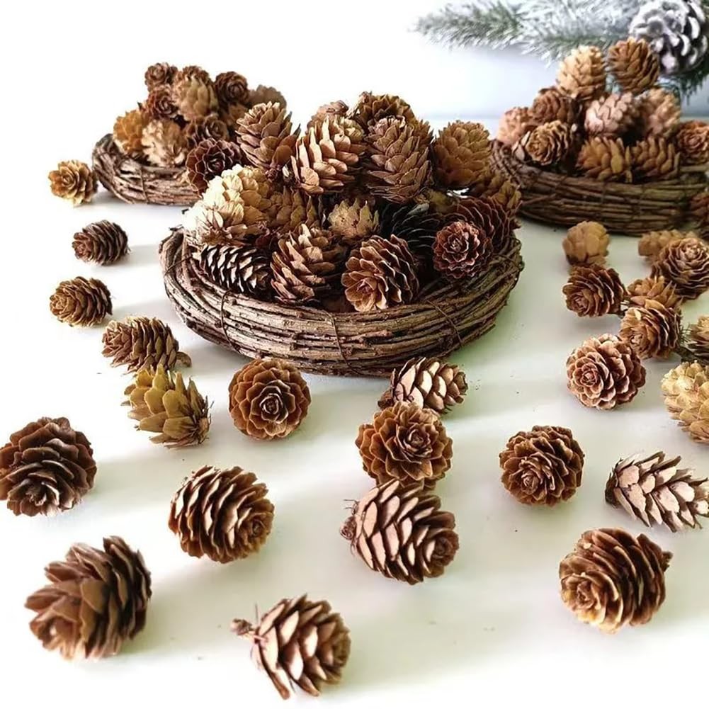 150 PCS 1 To 2cm Mini Pine Cones Brown Vase Fillers Table Decorations