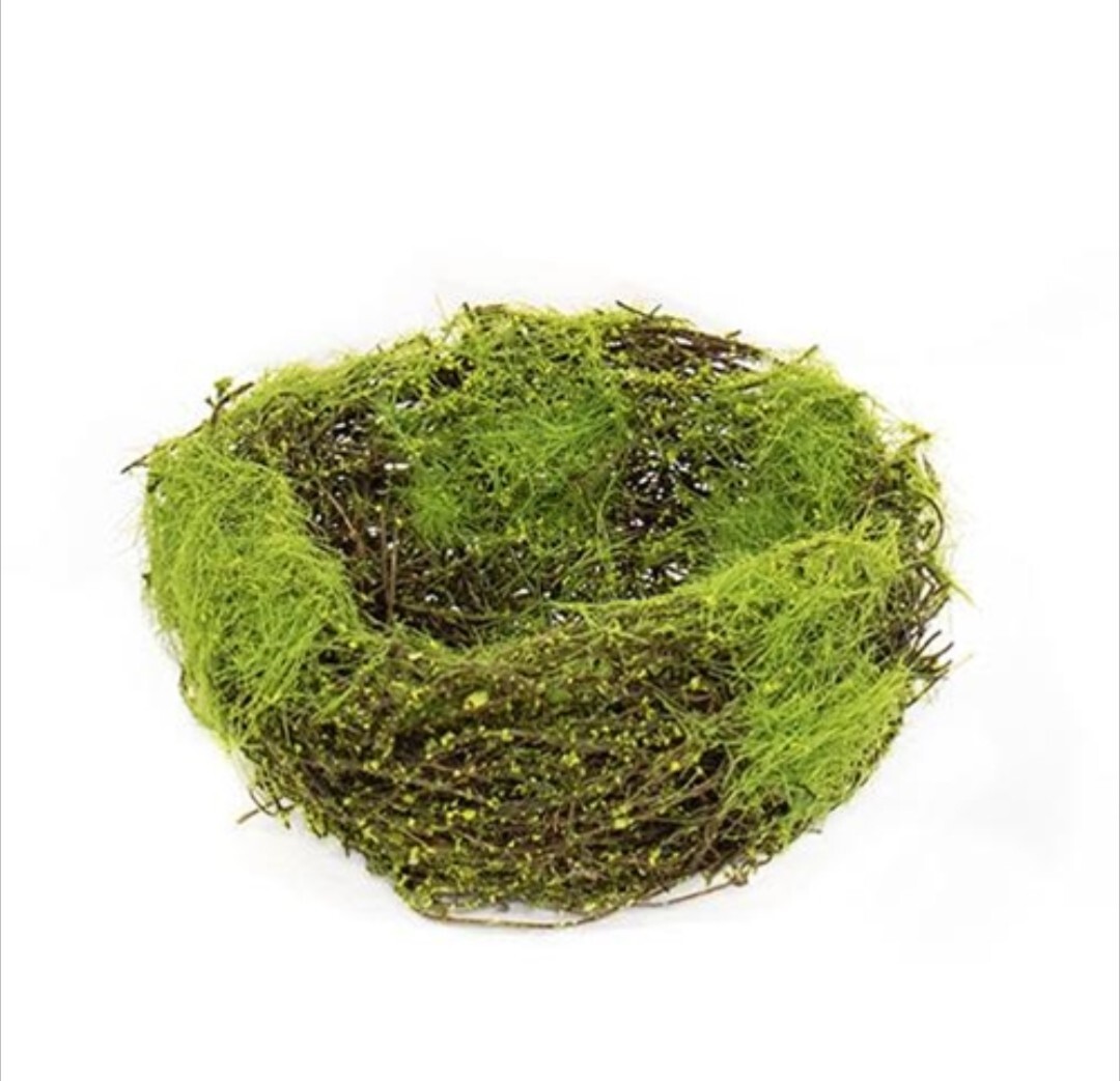 5″ Mossy Vine Bird Nest
