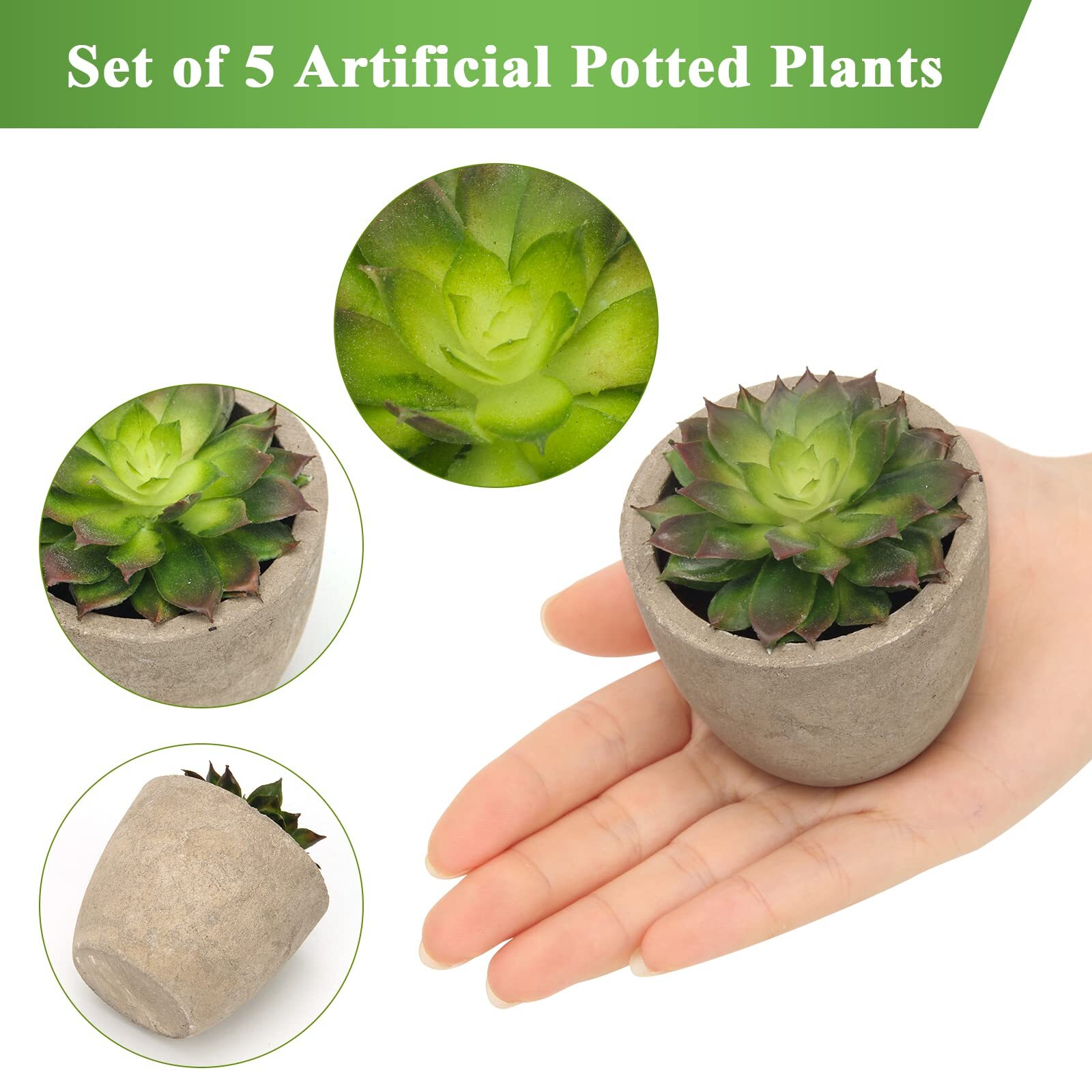 Set of 5 Artificial Succulent Plants in Pots Assorted Decorative Faux Cactus