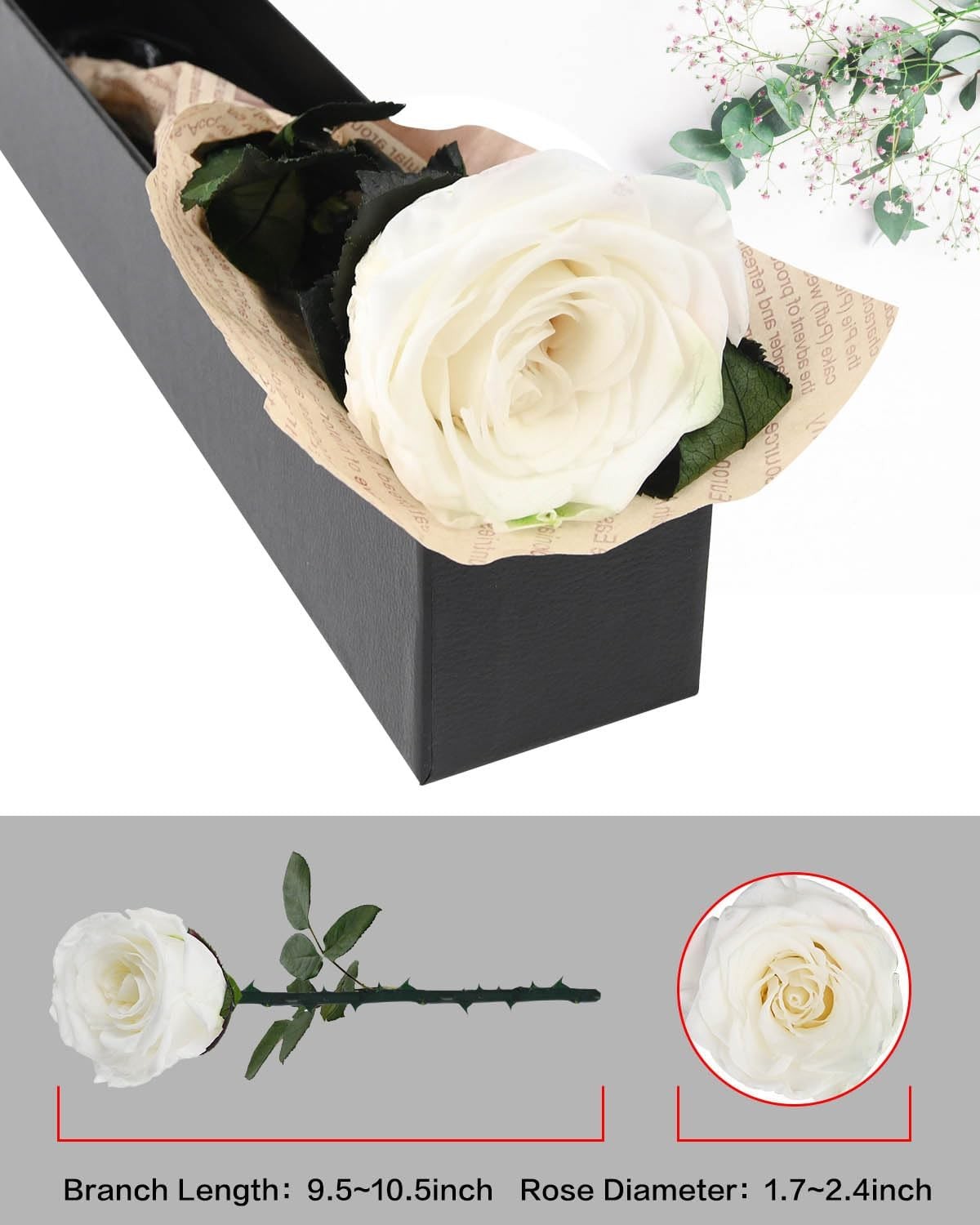 Forever Preserved White Rose Gift for Women Mom Grandma Valentine’s Day