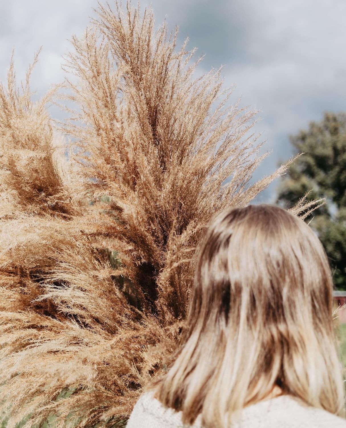 40″ Pampas Grass Bouquet – Set of 10 Stems