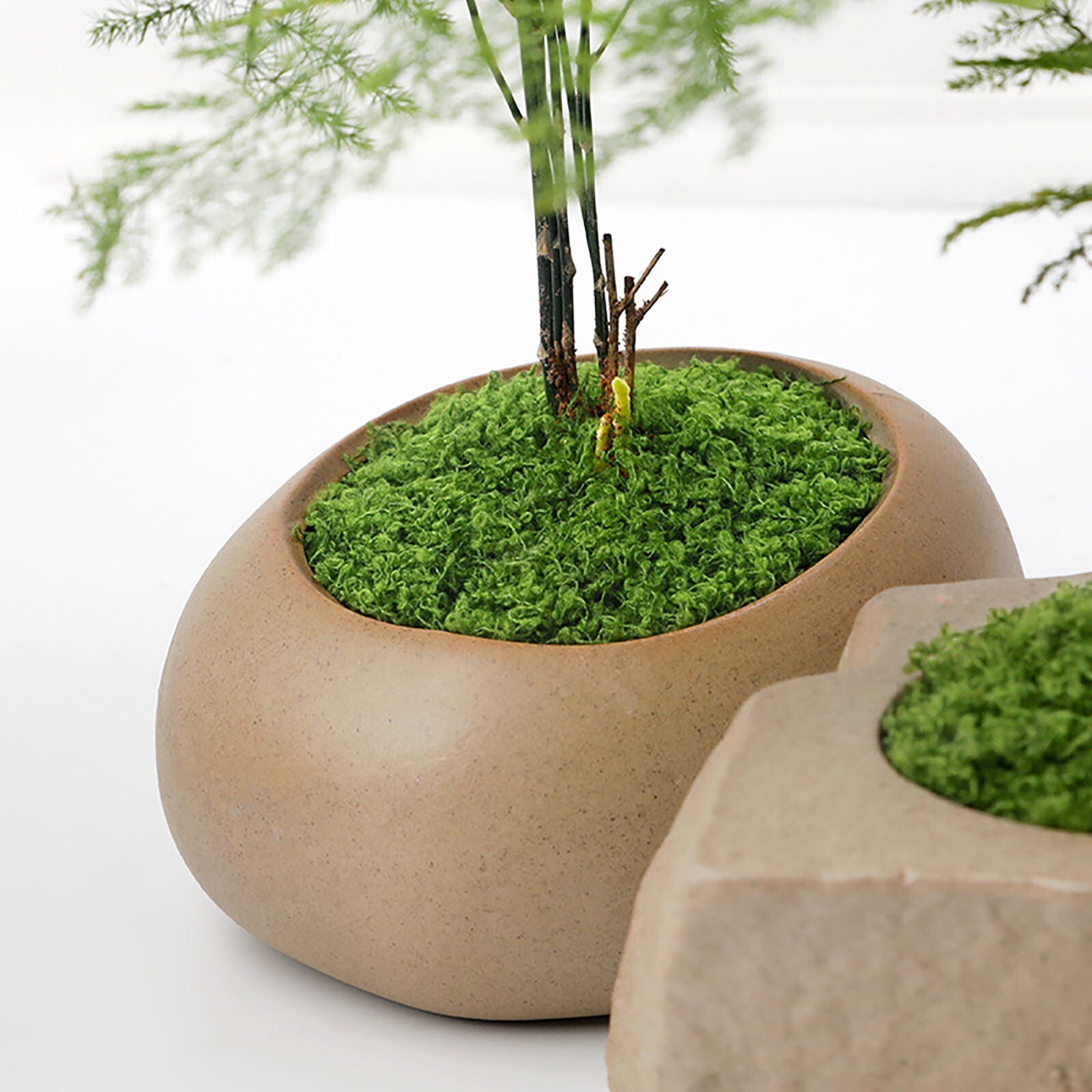 Artificial Fresh Green Moss Micro Landscape Fake Moss Garden Crafts Home Decor