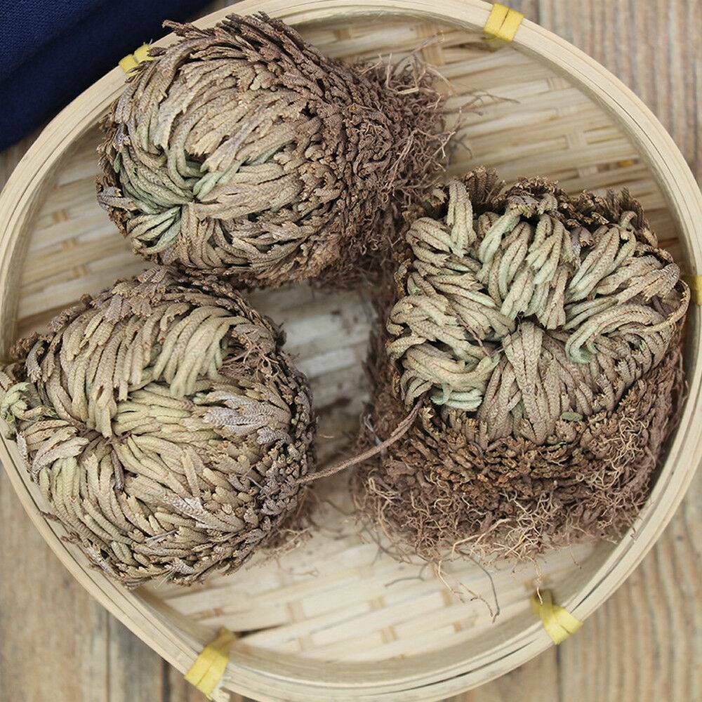 Rose of Jericho, 1-10 Packs- Resurrection Flower – Ferns – Live Plant Bulb Rose